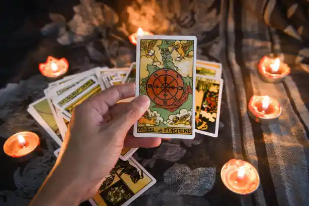 tarot cards Mandeville